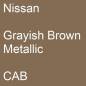 Preview: Nissan, Grayish Brown Metallic, CAB.